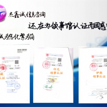 蘇丹領(lǐng)事簽章未婚公證書