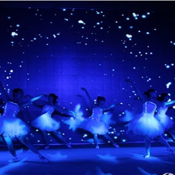 淄博二人轉(zhuǎn)，皮影戲表演，鋼管舞，薩克斯，開場熱舞