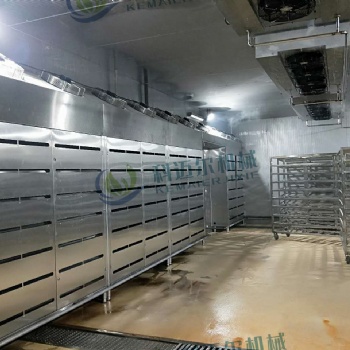 牛羊肉類解凍水產(chǎn)品解凍雞鴨解凍 低溫高濕解凍機
