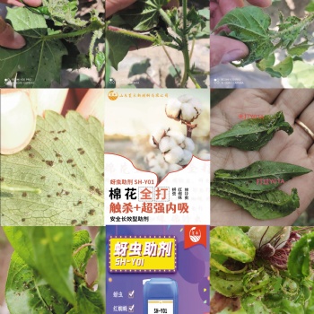 新疆棉蚜、花椒蚜蟲、桃呀、西瓜蚜蟲，各類蚜蟲都可打
