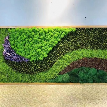 專業(yè)制作安裝苔蘚植物墻立體綠化