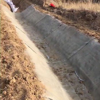 新型建材公路護(hù)坡用水泥毯