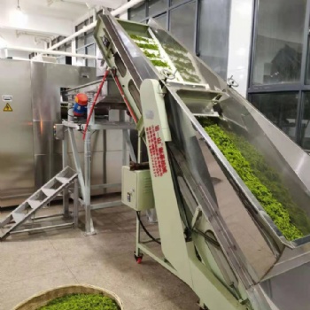 新型三層微波光波茶葉殺青機,山東康來供應(yīng)