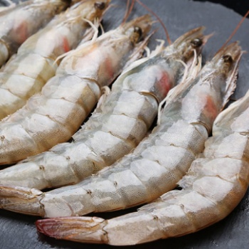 海鮮-冷凍海鮮-供應(yīng)各種魚類蝦類鮮活海產(chǎn)品