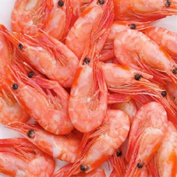 海鮮-冷凍海鮮-多種蝦類鮮活海鮮冷凍海產(chǎn)品供應(yīng)