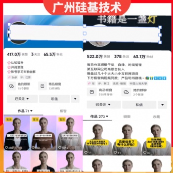 AI 數(shù)字人制作工具 HeyGen電腦使用附詳細使用教程-抖yin不限流