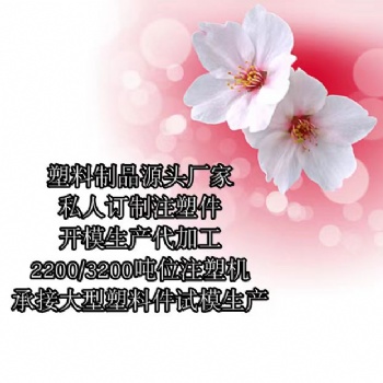 濟南市塑料制品生產(chǎn)定制注塑廠家