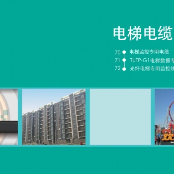 天誠電梯電纜，蘇州愛普特